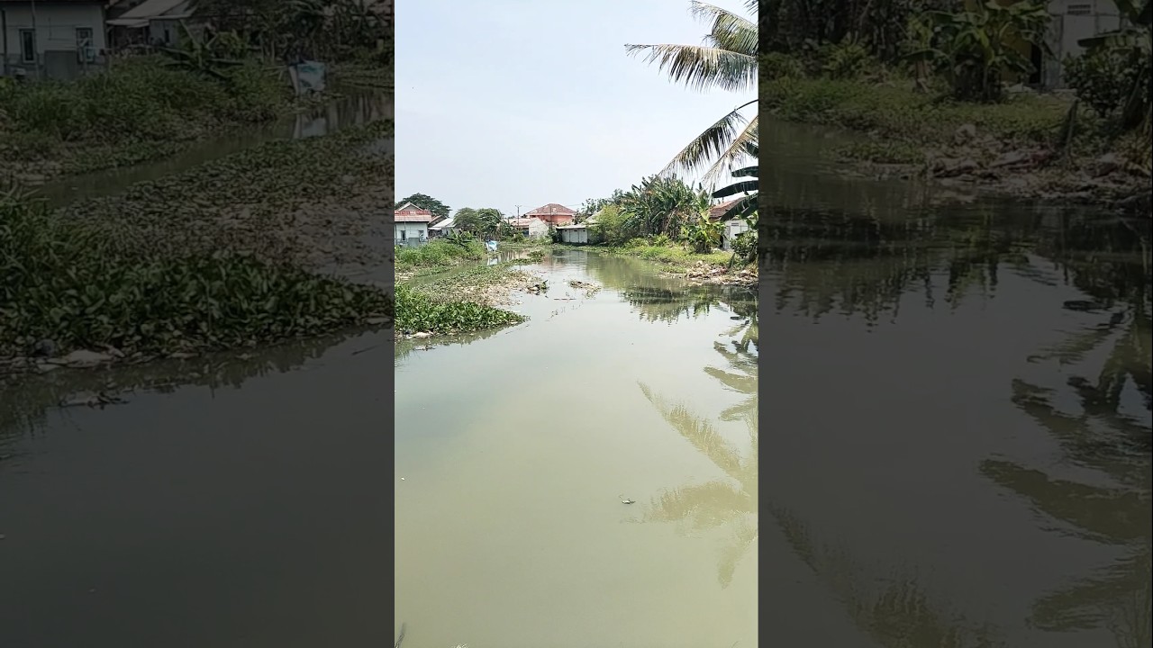 Kali Serengseng Banjir, Benarkah?? #shorts