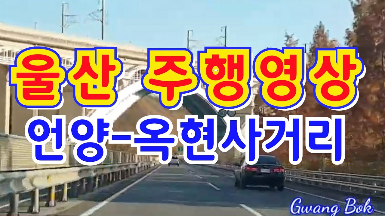 언양~옥현사거리 주행영상(국도)
