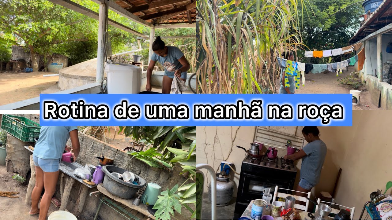 NAO VOU MAIS FALAR  SOBRE ISSO + MINHA ROTINA DA MANHÃ NA ROÇA  