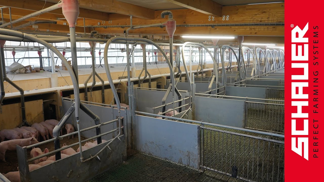 AMA TW 100 Tierwohl-Kaltstall!