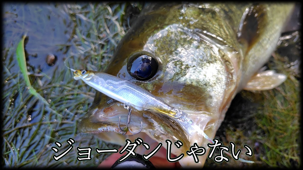 【マジI字】ワンチャン同じウエイトのバイブレーションぐらい飛ぶ気がする多分メイビー【ラレシ】