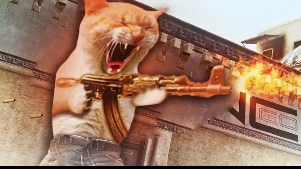 Я вернулся в кс го