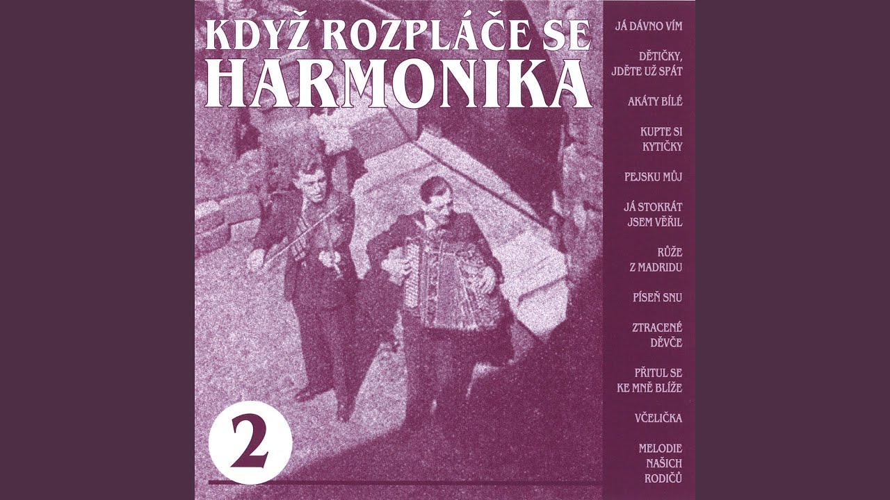Havířova Růže