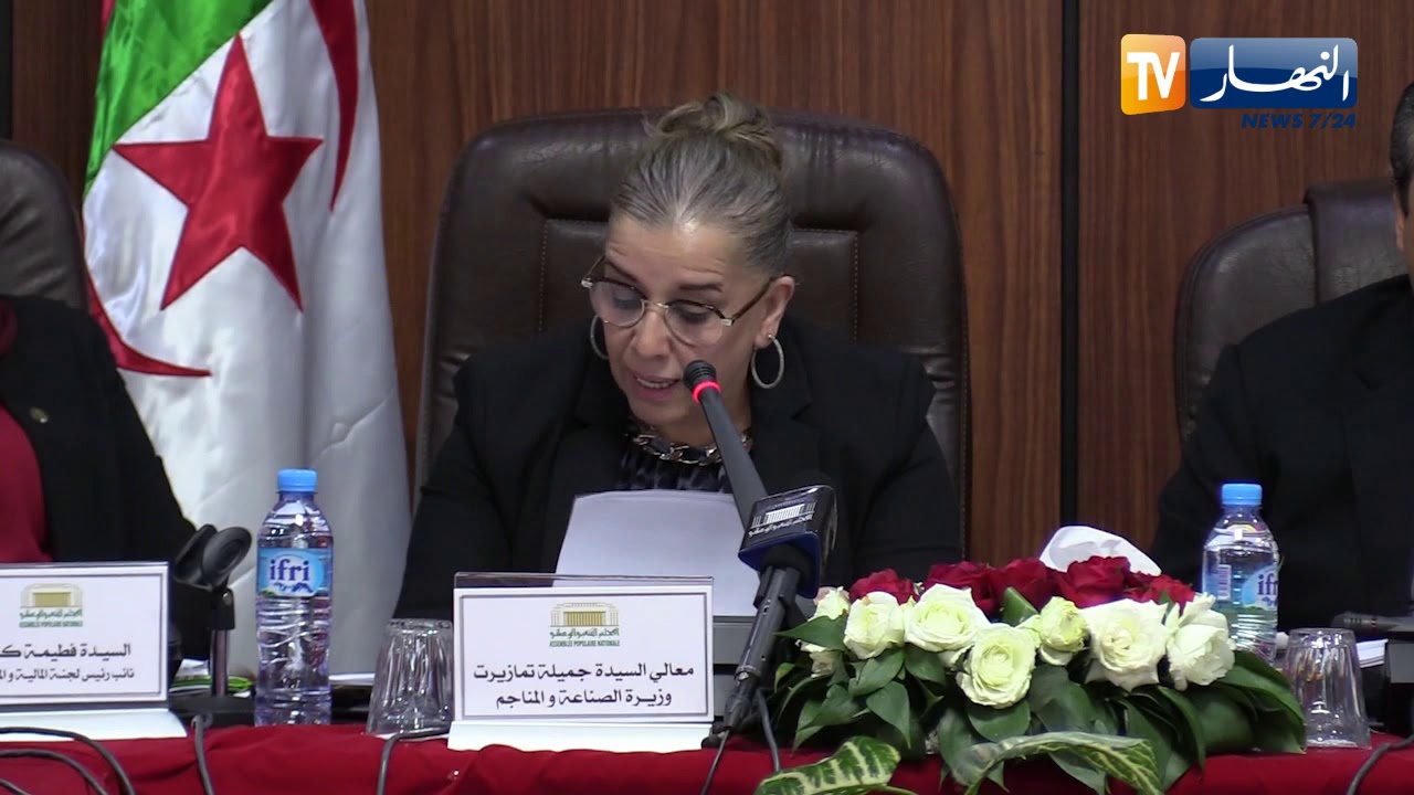 وزيرة الصناعة و المناجم: إمكانية اللّجوء إلى التمويل الخارجي للمشاريع الكبرى في قطاع الصناعة