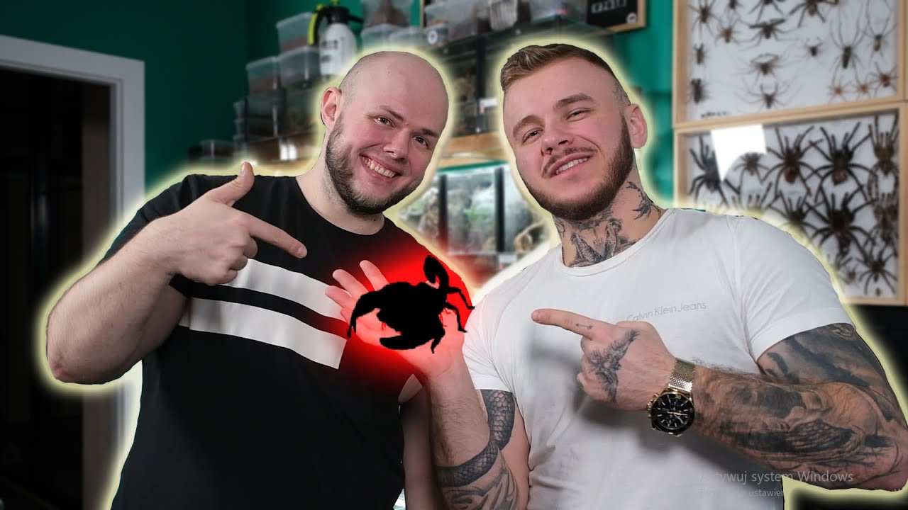NIE WIERZYŁEM!!! - NAJLEPSZE NA HODOWLI VENOMOUS ART