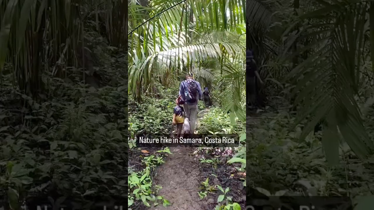 Nature Hike in Samara, Costa Rica