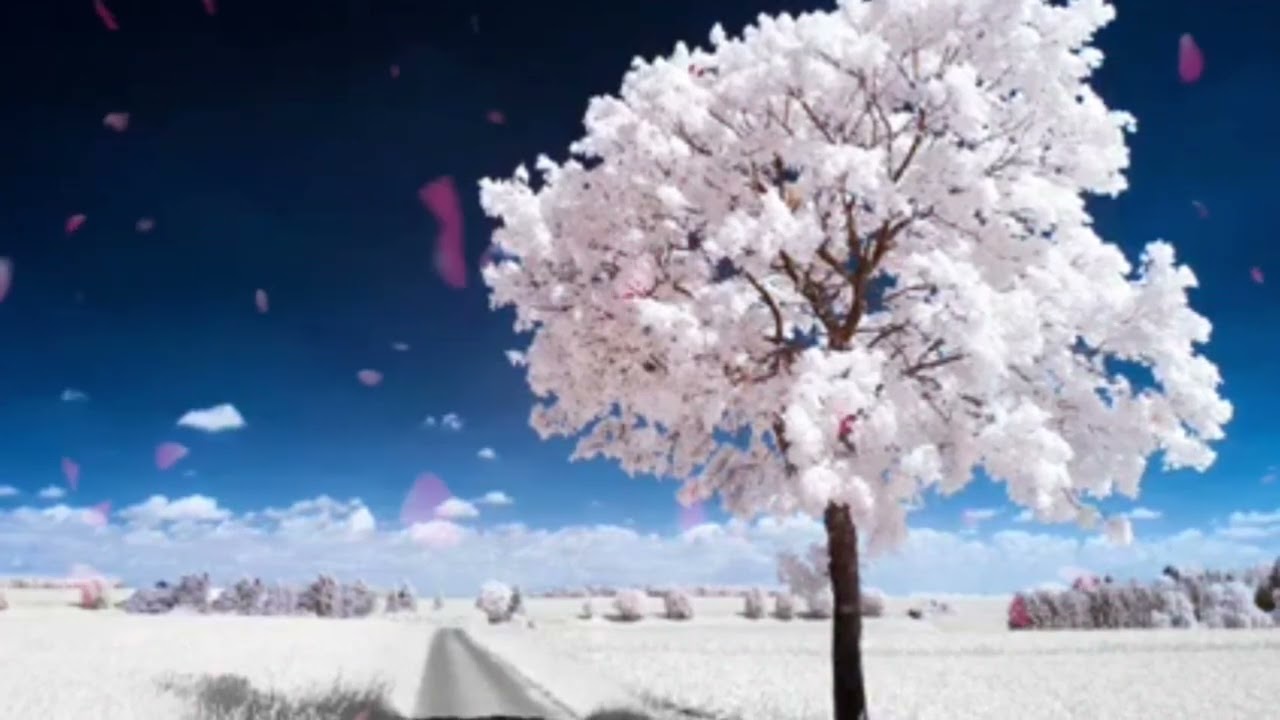 Surah kahf beautiful Recitation سورة كهف