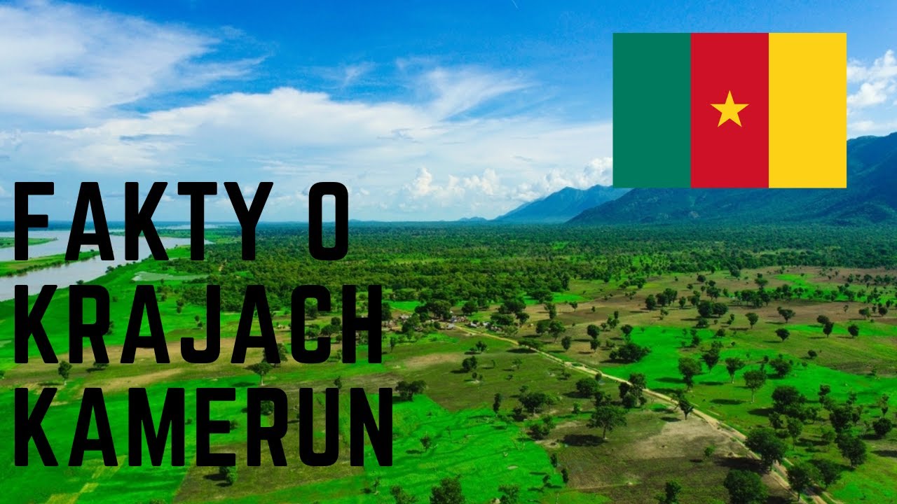 Fakty o krajach - Kamerun 82