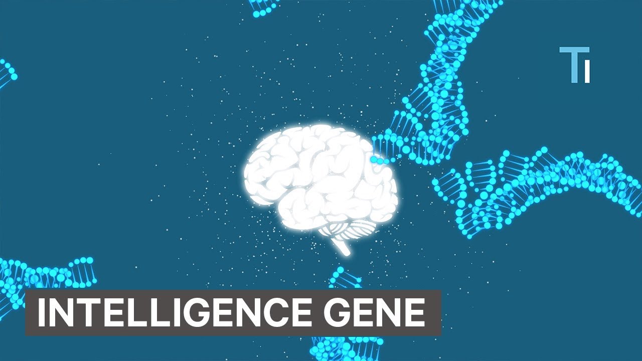 Scientists Discovered New Genes That Make Humans More Intelligent