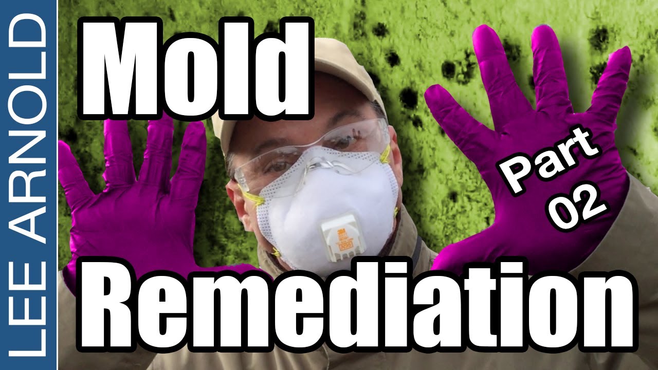 How To Clean and Remove Toxic Black Mold Safely DIY - PART 2
