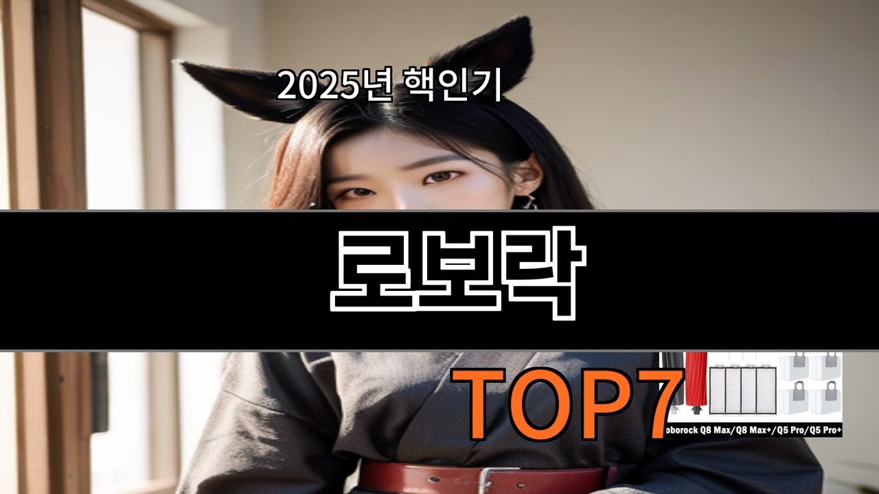 알리 로보락 가격 대비 체감 확실한 아이템