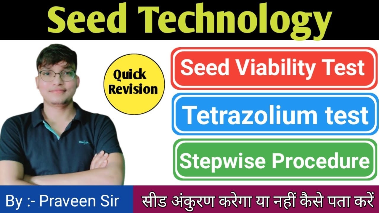 Seed Viability Test 🔥🔥 #seedtechnology #tetrazoliumtest