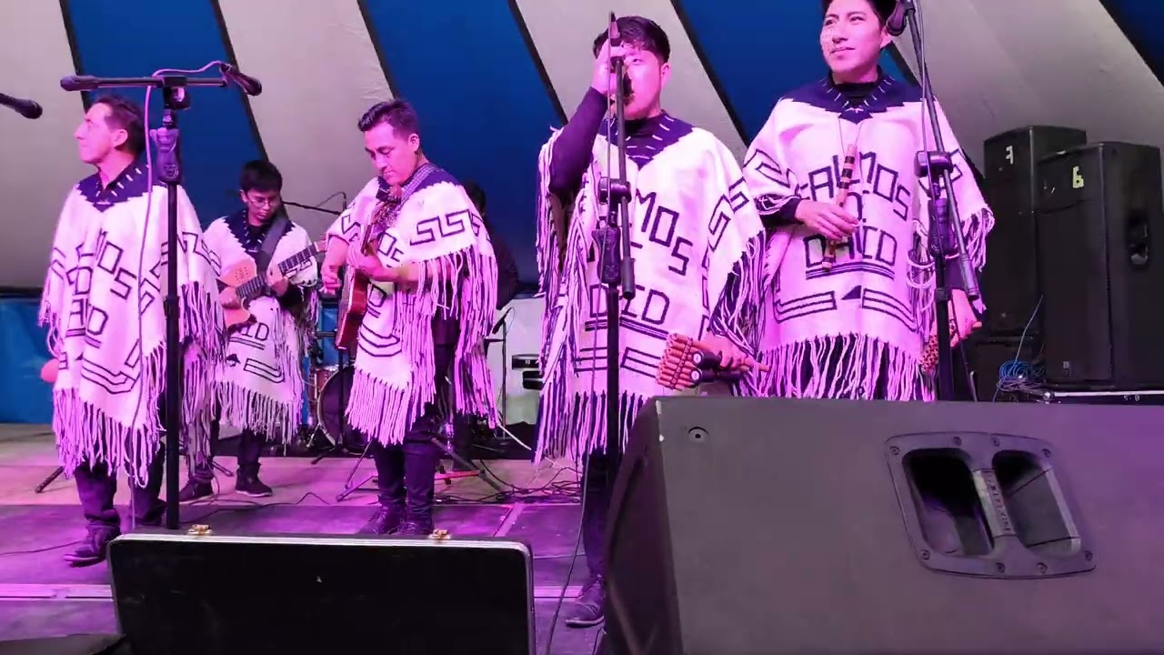 Salmos de David.                                                       Cuello loma 2026