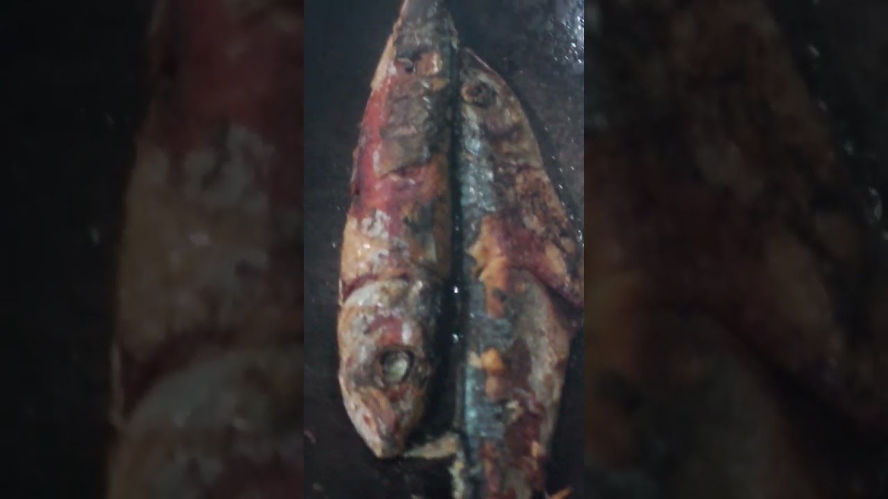 Bakar ikan salem