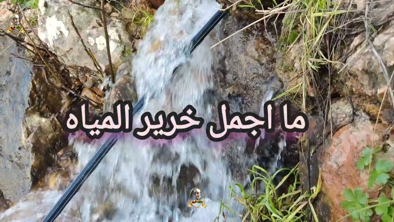 عشاق الطبيعة وخرير المياه عين من تحت الجبل سبحان الخالق المصور دوار بني مكود #رباط_الخير 