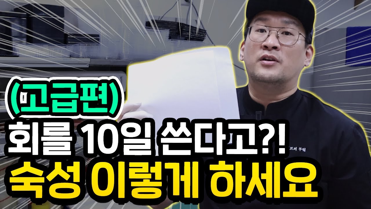 사계절 내내 생선 오래 쓰는 법 (숙성 심화편)