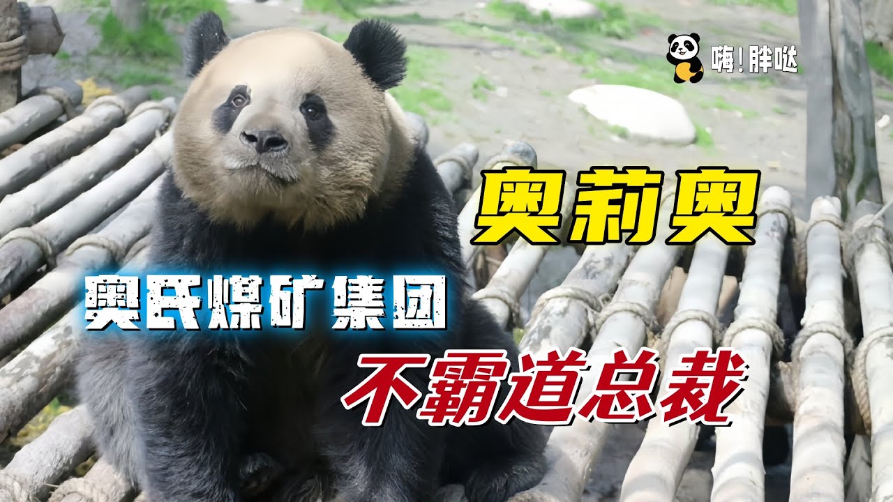 奥莉奥：退居二线多年，昔日挖煤大亨如今在哪里快活？不霸道总裁奥莉奥的故事