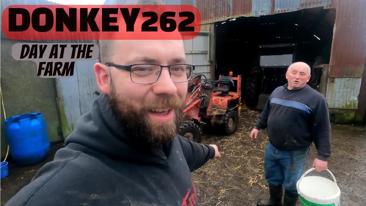 DONKEY262 - Saturday Antics