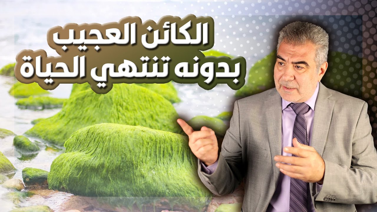 الكائن المعجز..! ماذا يحدث إذا اختفى هذا المخلوق من الأرض؟ كوارث غير متوقعة!!