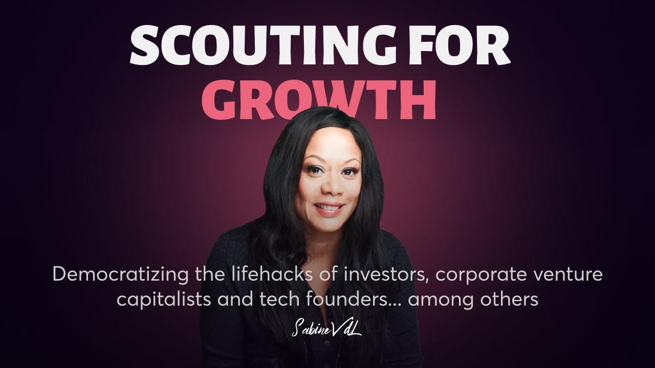 Insight: Building an Authentic Identity in 2024 | Scouting for Growth