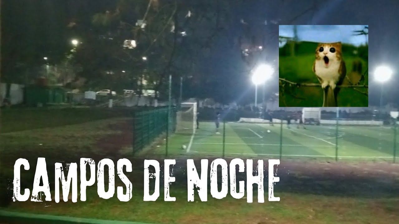 Explorando Campos de NOCHE 😎