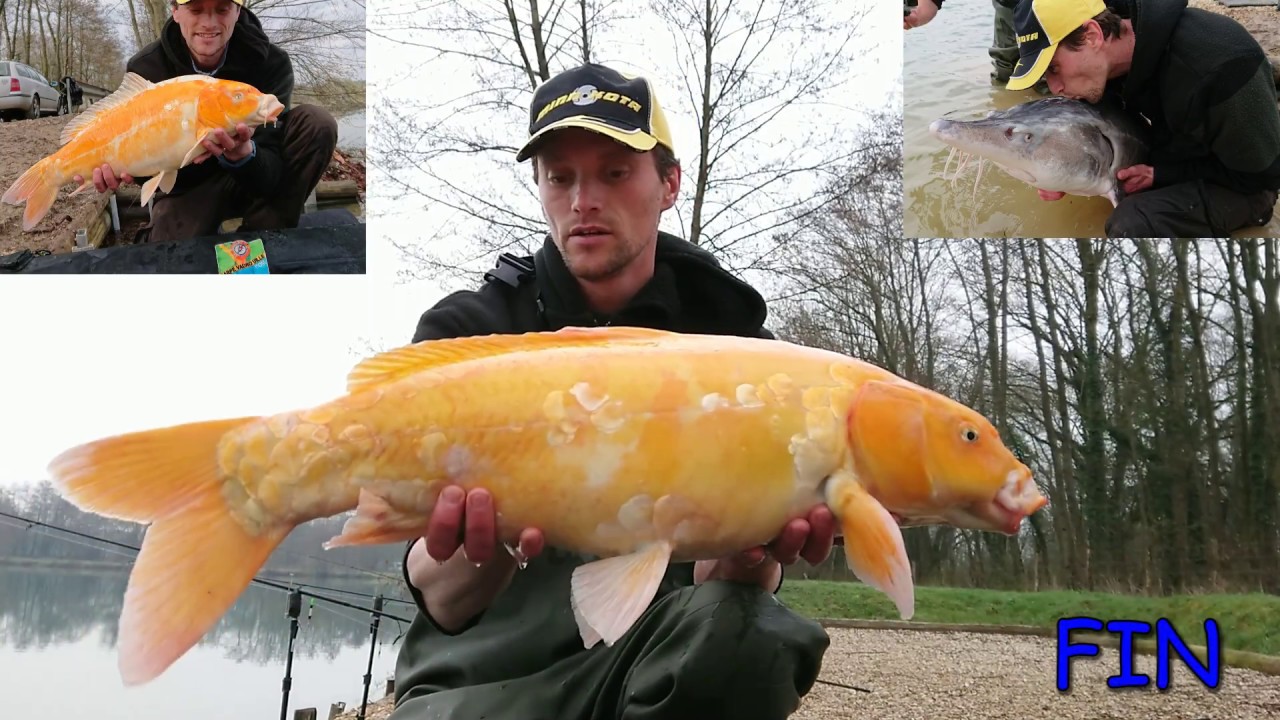 La Gravière Carp'Avenir - Vincent de Carpe Vadrouille