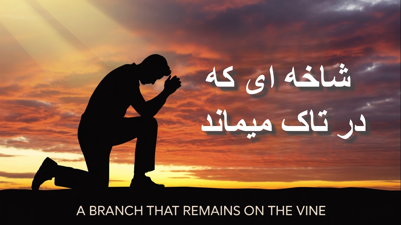 شاخه ای که در تاک میماند
