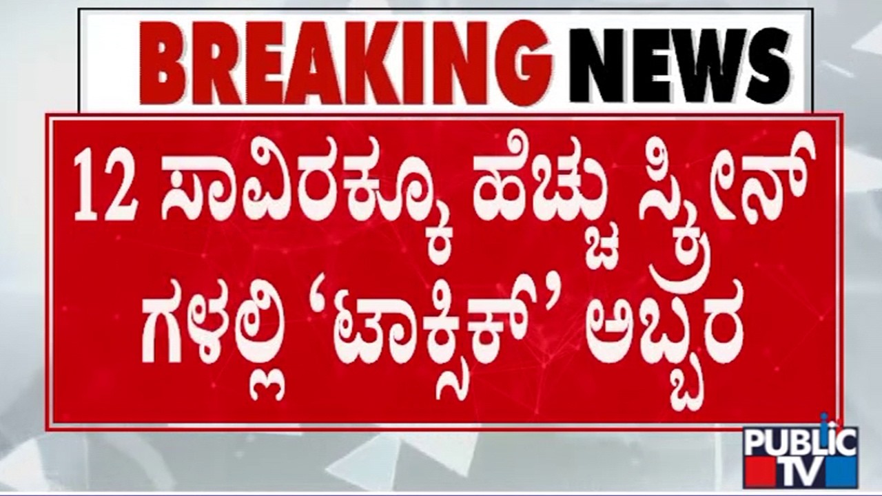 Fans Celebrate Toxic Movie Release | Rocking Star Yash