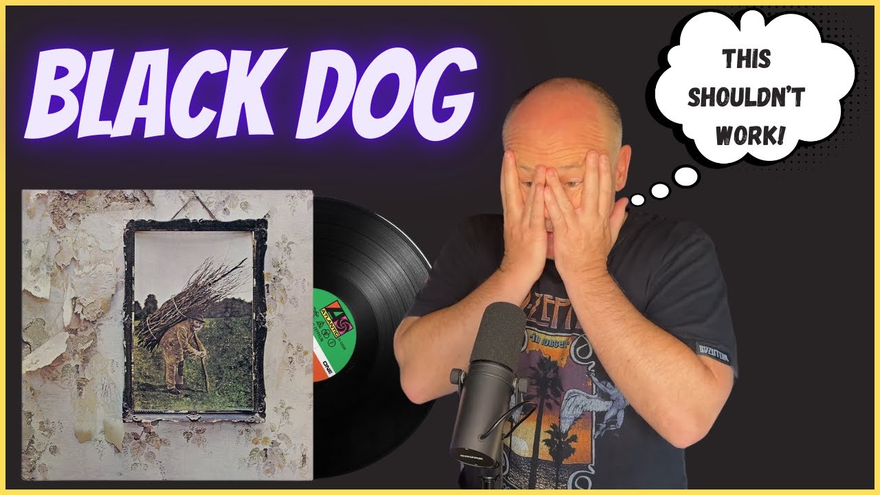 Реакция преподавателя игры на барабанах: Led Zeppelin – Black Dog | ZEPPY NEW YEAR (LZ IV Deep Dive)
