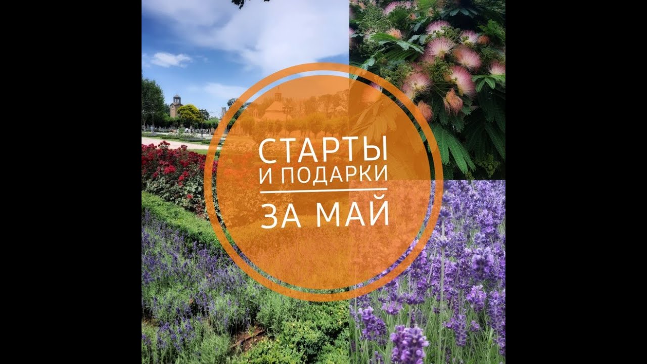 Старты и подарки за месяц май #panna #алиса