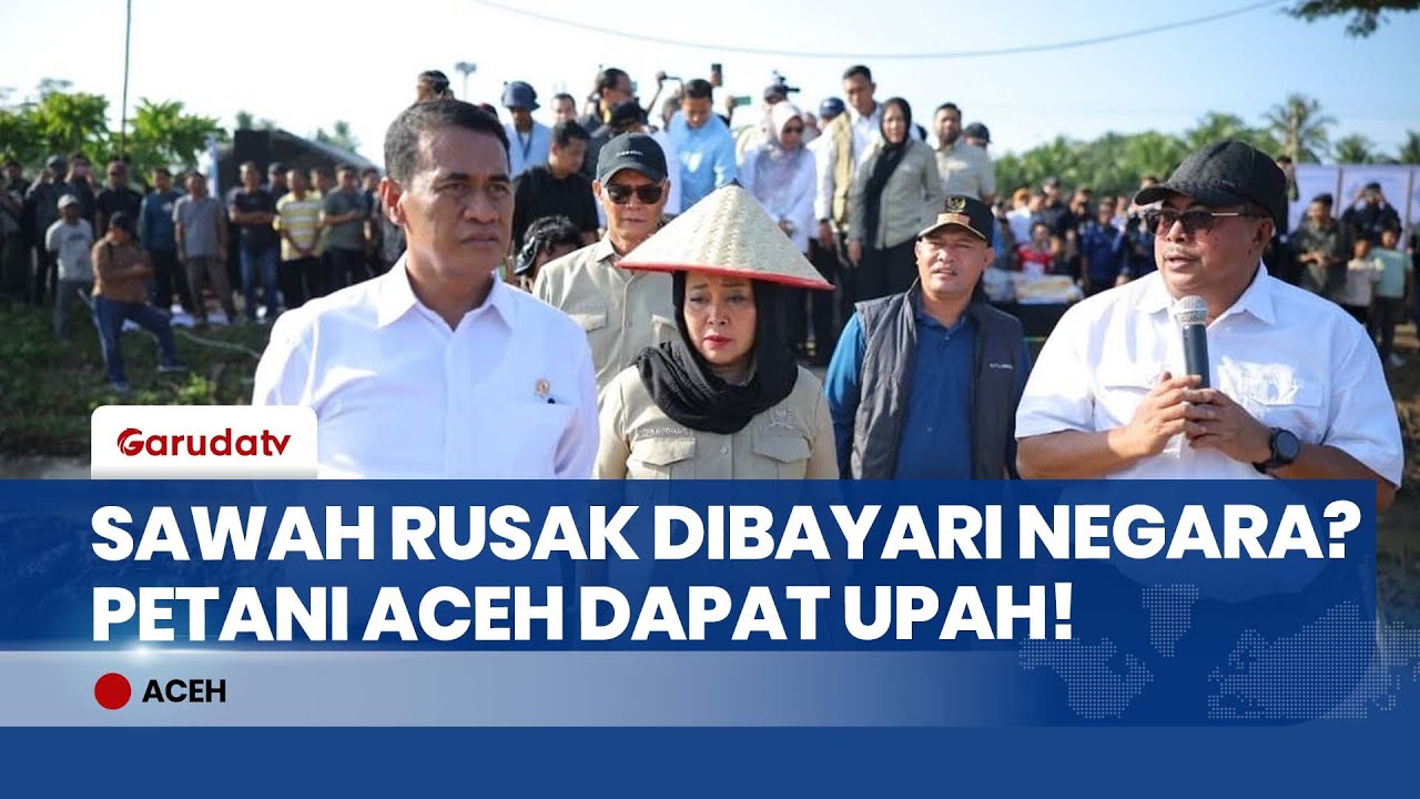 Mentan Amran & Titiek Soeharto Tinjau Sawah Terdampak Banjir, Petani Digaji Pulihkan Lahan!