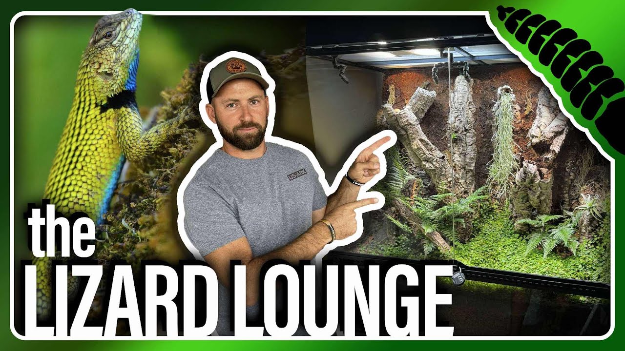 The Lizard Lounge &mdash; наш первый виварий с растениями!