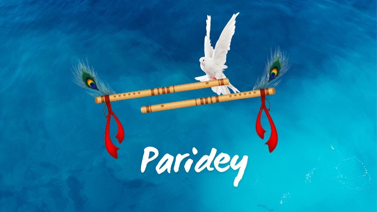 Parindey - Bollywood Style Beat | Indian Flute Beat 2025 [Prod. Paragon]