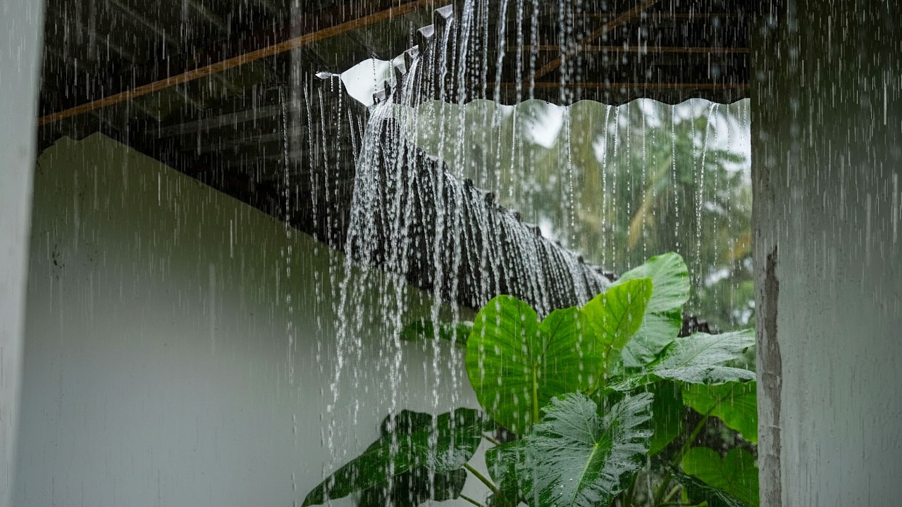 Heavy Rainfall at Night on tin Roof | Deep Sleep, Study, Meditation & Insomnia Relief #013