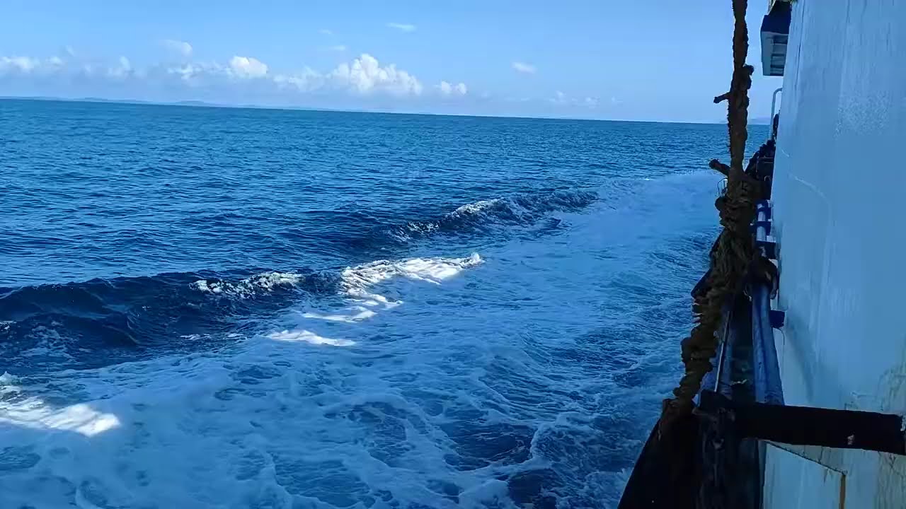 Portblair to Havelock Island Govt Ferry|| Swaraj Deep||Andaman Day-2 ||পোর্ট ব্লেয়ার থেকে হ্যাভলক