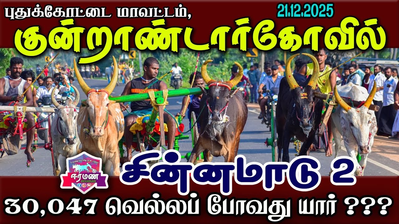 🔴LIVE(நேரலை) | புதுக்கோட்டை மாவட்டம் | குண்ணண்டார்கோவில் |  சின்ன மாடு 2 | பந்தயம்