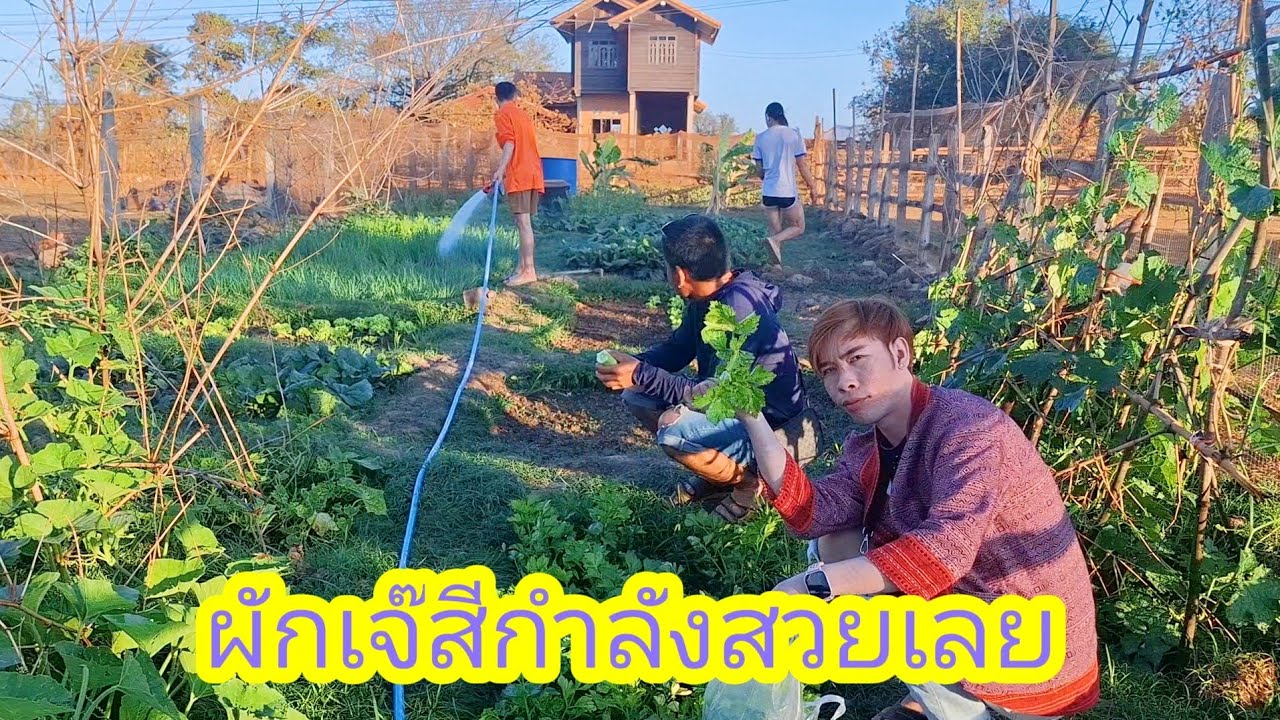 ep: 1234 ไม่ได้มาบ้านเจ๊สีนาน ดูแปลกตามากทุกคน