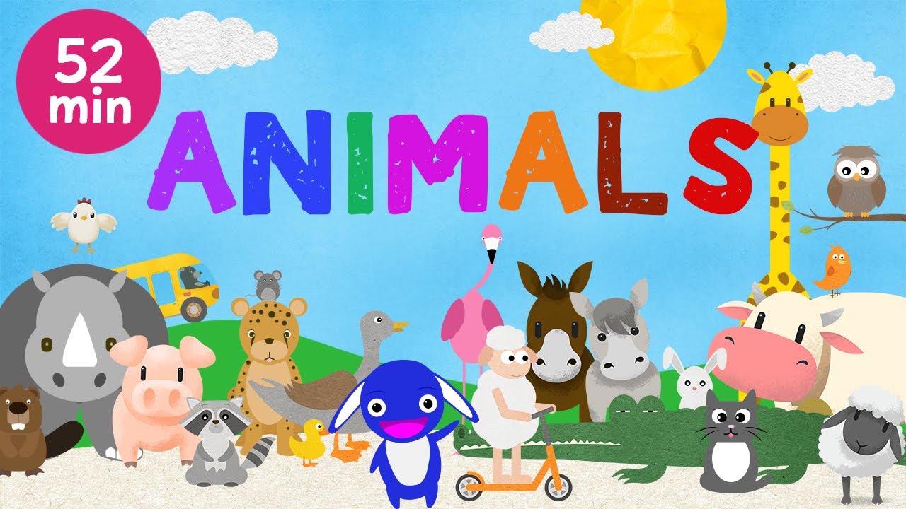 Educational animal songs and videos for kids | Moogoopi 52 min video compilation