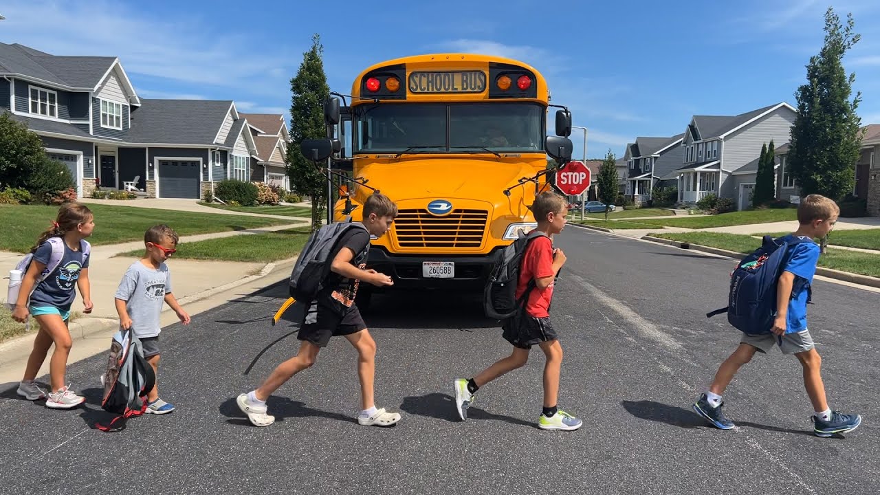 School Bus Safety