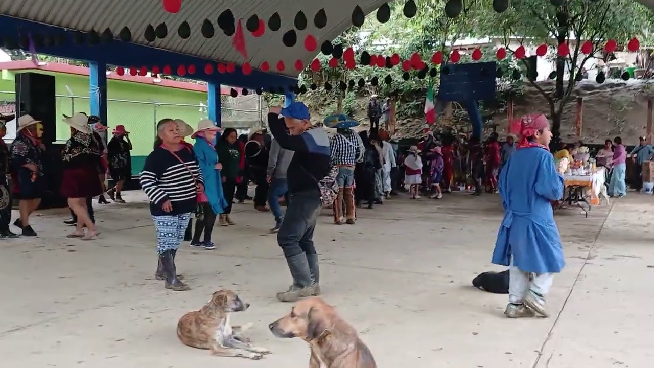 Carnaval del dia 22 de febrero en  comunidad de El Progreso Ixhuatlan de madero Veracruz. 