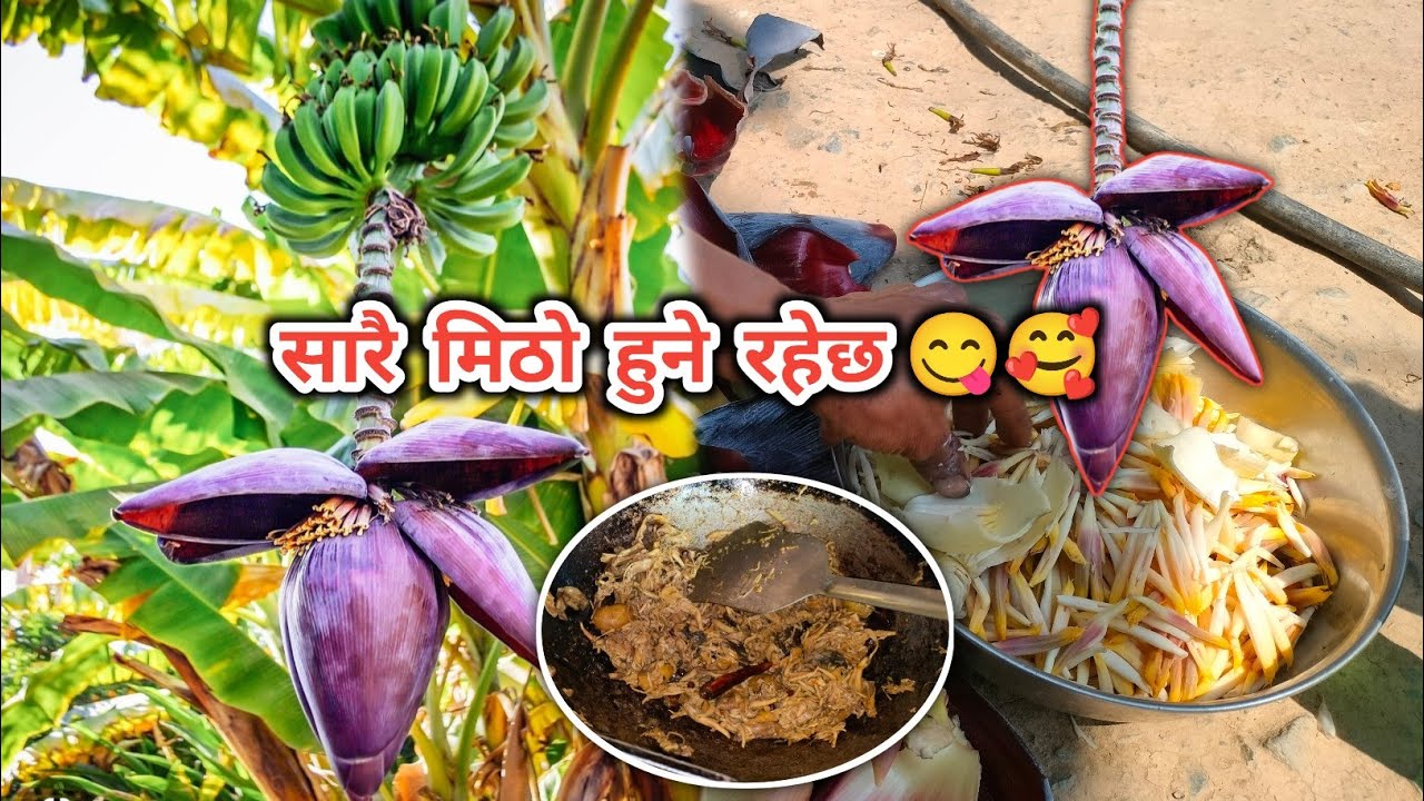 First Choti केरा ko बुङगो ko Tarakari 😋
