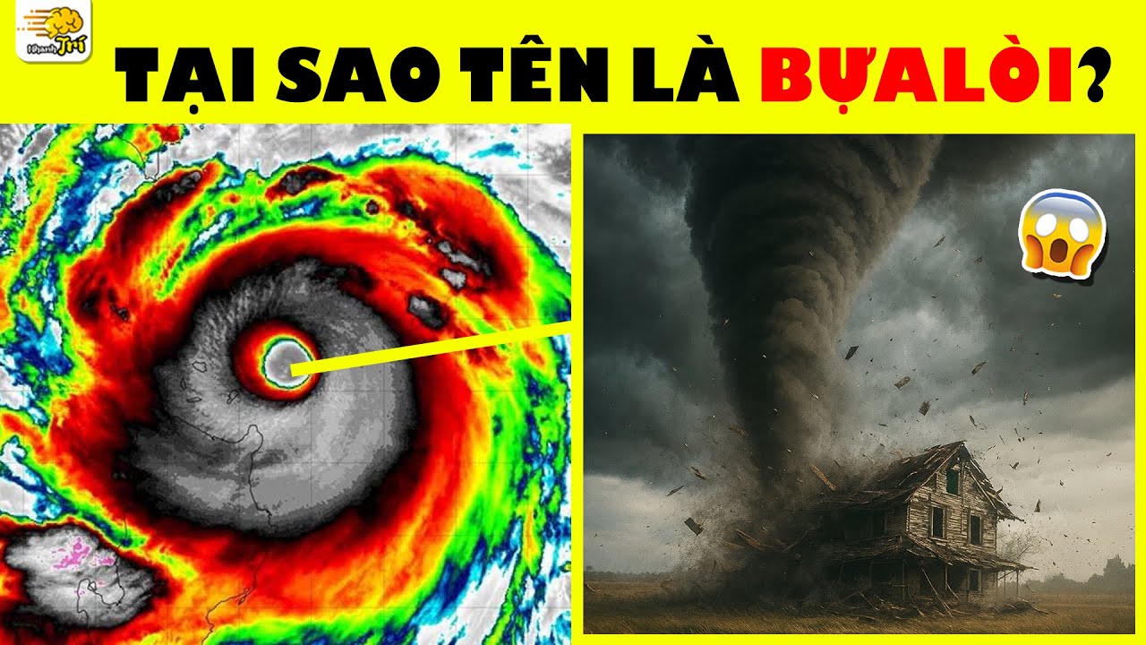Bão số 10 