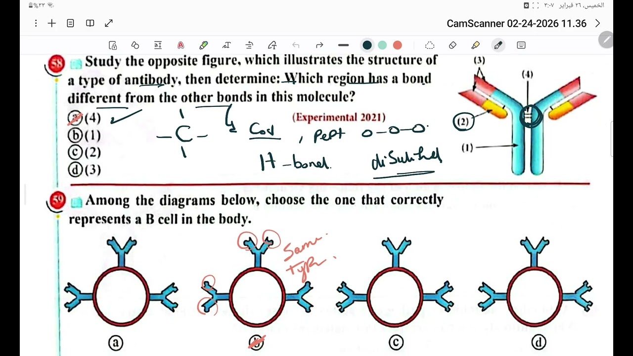 حل كتاب التفوق بيولوجي immunity in human lesson 2 part2