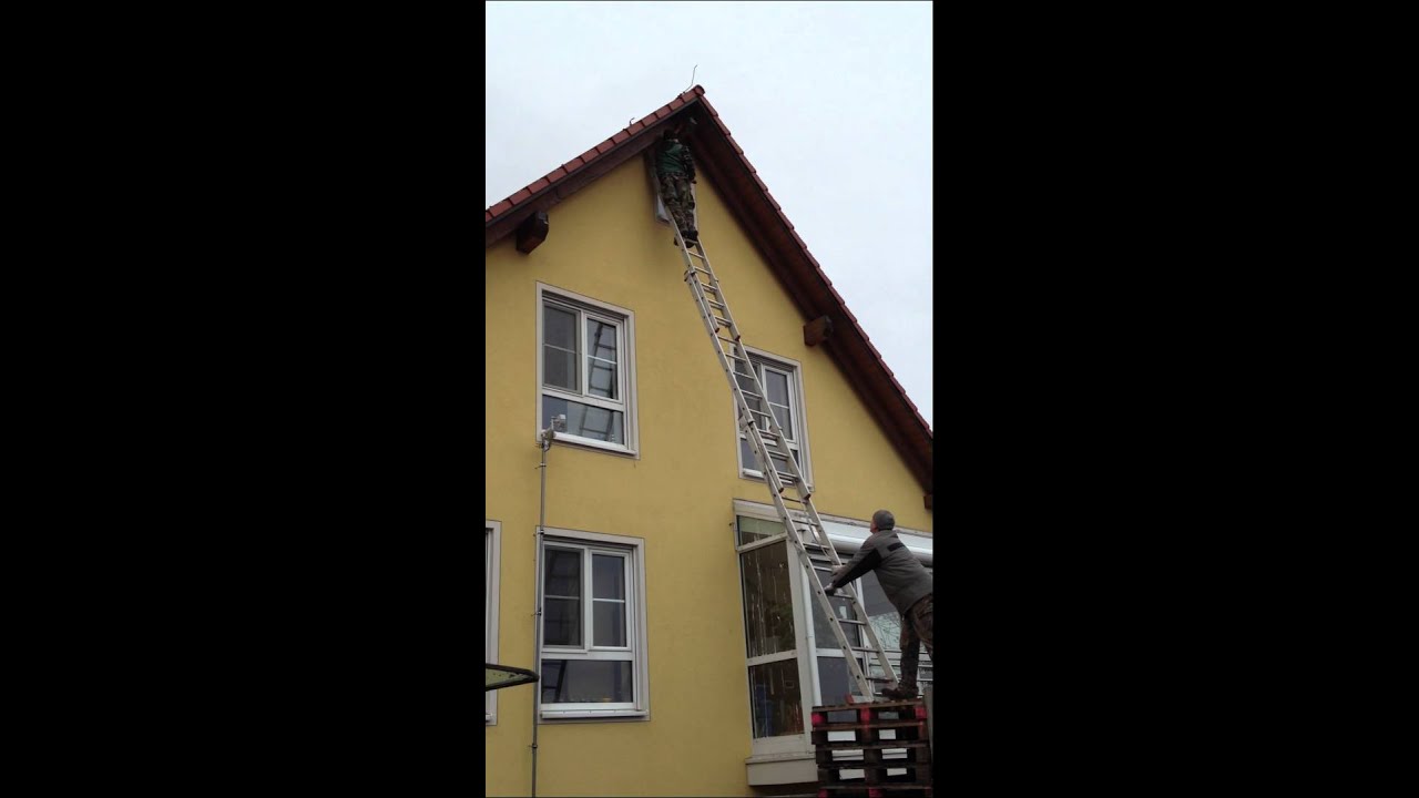 Vogelabwehr anbringen nach Polenart