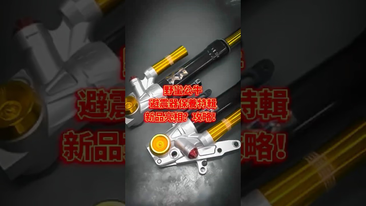 【R冠】究竟保養避震器是不是盤子的行為!? 一起來看看吧!#野蠻公牛 #避震器 #ARXPro #保養特輯 #新品亮相 #R冠 #攻略
