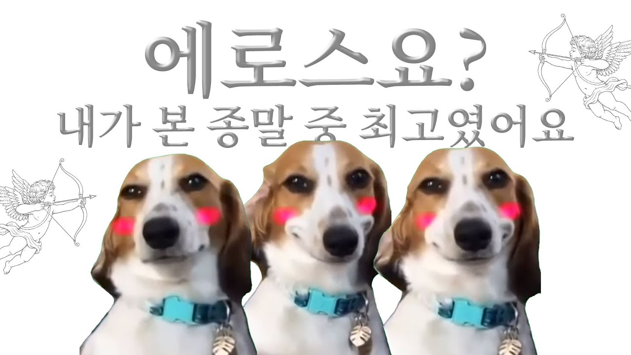 오두막 16일차 | 연말을 대하는 우리의 자세와 웨이몬드가 낋여주는 '에로스의 종말'