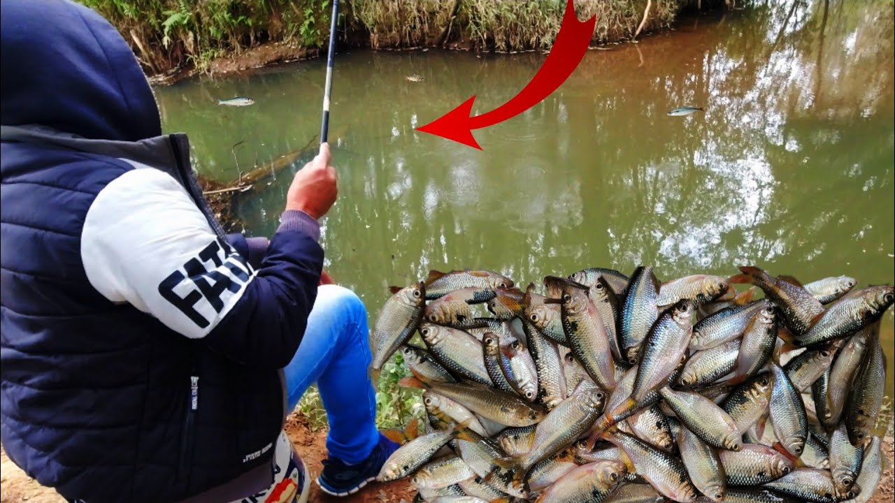 ENCONTREI UM LOCAL CHEIO DE PEIXE 🇧🇷🌞