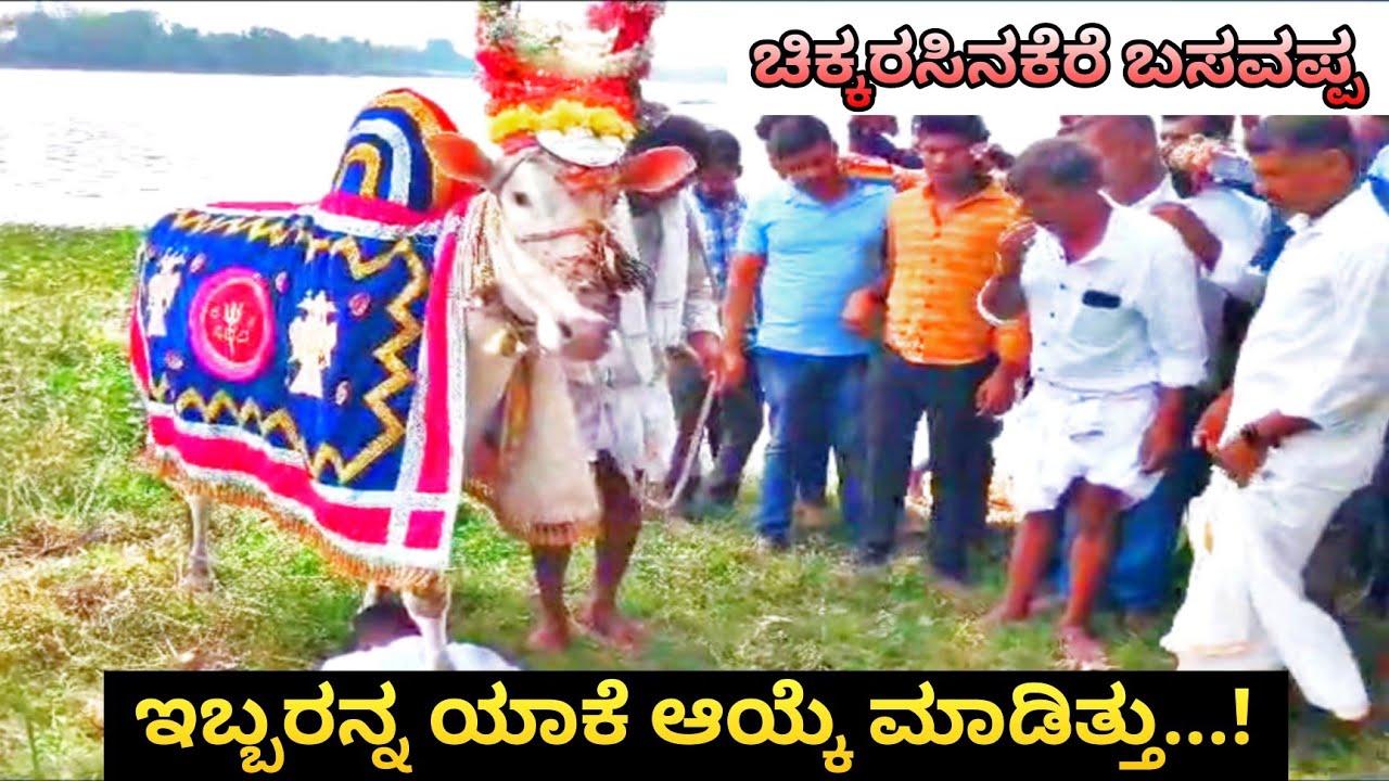 ದೇವಸ್ಥಾನಕೆ ಹೇಗೆ ಪೂಜಾರಿನ ಆಯ್ಕೆ ಮಾಡಿದ್ರು ಬಸವಪ್ಪ...! | Malavalli | Chikkarasinakere Basavappa | Abhi |