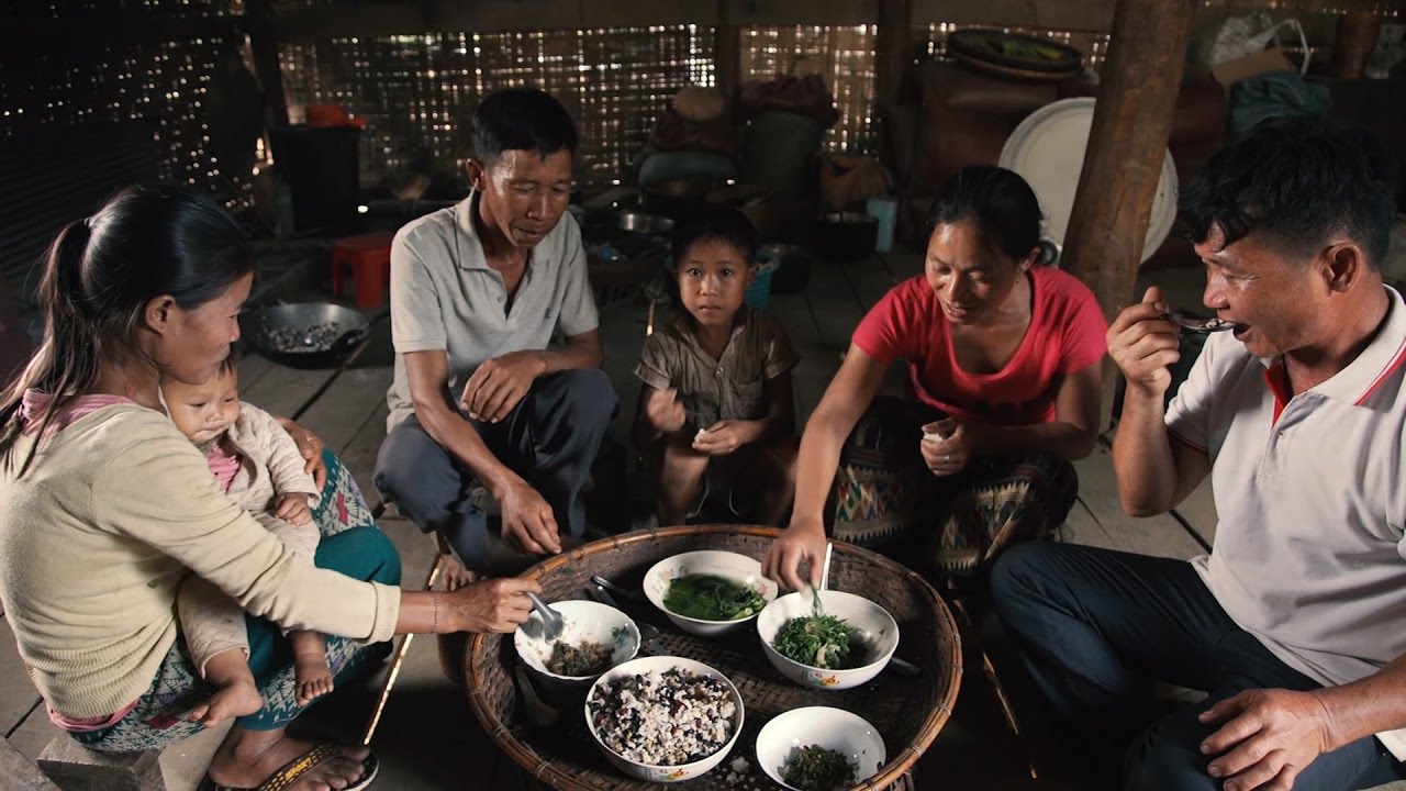 Laos: Nutritious Entertainment