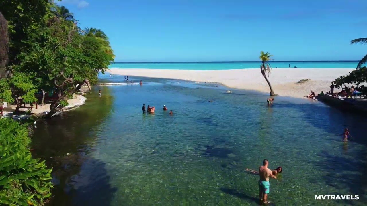 Los patos de barahona - Republica Dominicana